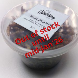 Mealworms 20g