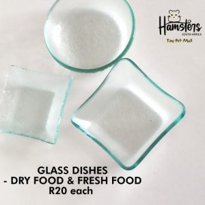 Glass Dishes - small & medium