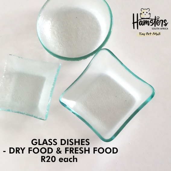 Glass Dishes - small & medium