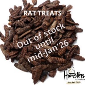 Black Soldier Fly Lavae (Rat Treat) 20g/100g