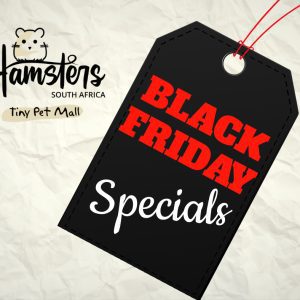 BLACK FRIDAY SPECIALS