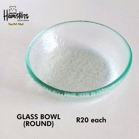 Glass Dishes - small & medium - Image 5