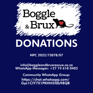 Boggle & Brux Donation for Provisions R25 - R100 options