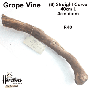 Natural Grape Vine