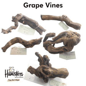 Natural Grape Vine