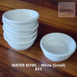 Water or Fresh Food Bowls