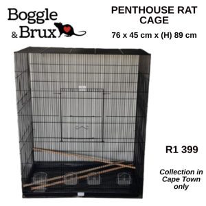 Penthouse Rat Cage
