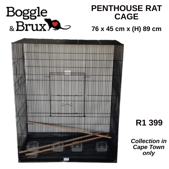 Penthouse Rat Cage